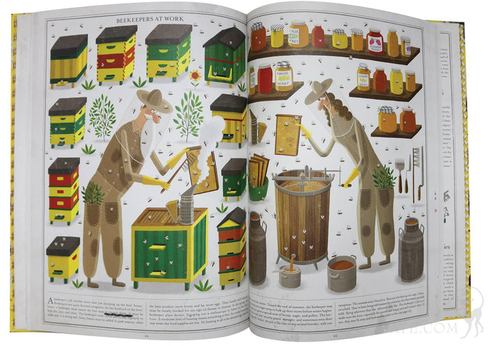 Bees: A Honeyed History - Paxton Gate