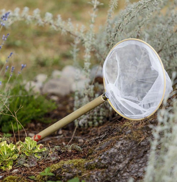 Beetle & Bee Garden Butterfly Net-Equipment-Toysmith-PaxtonGate