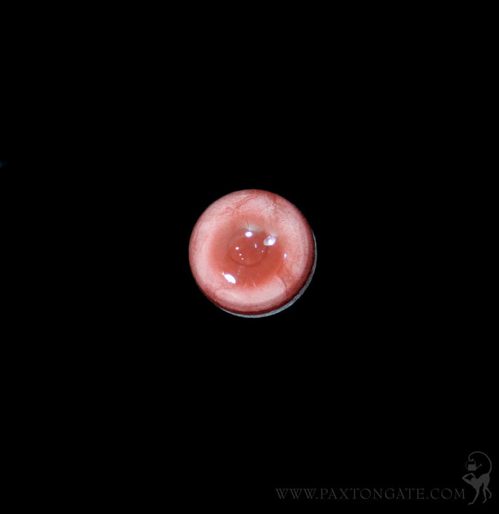 Glass Albino Raccoon Taxidermy Eye-Taxidermy-McKenzie Taxidermy Supply-PaxtonGate