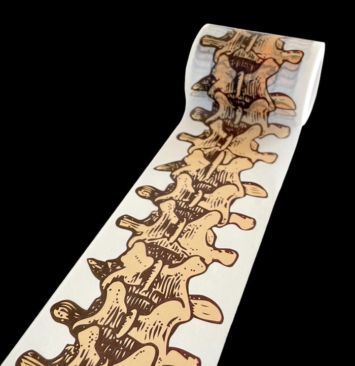 Spinal Washi Tape-Office-Copernicus-PaxtonGate