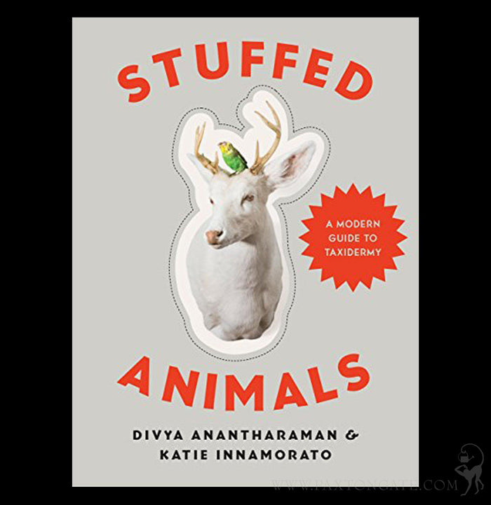 Stuffed Animals: A Modern Guide to Taxidermy