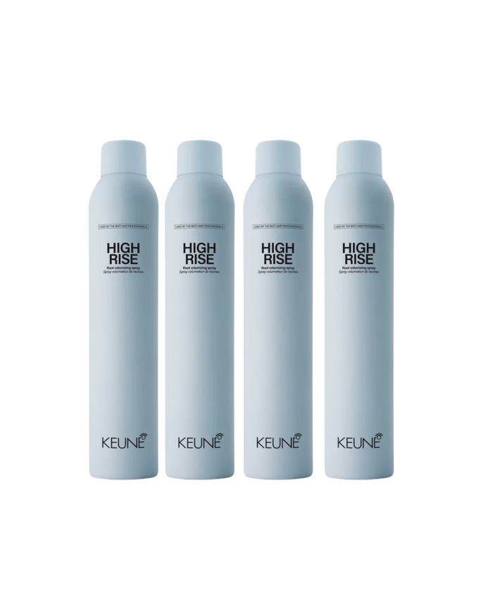 Keune Style High Rise 4 stuks verkrijgbaar bij Care For Hair