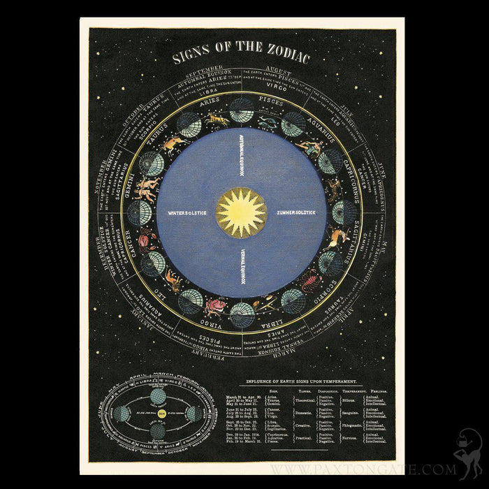 Zodiac Chart Poster Wrap - Paxton Gate