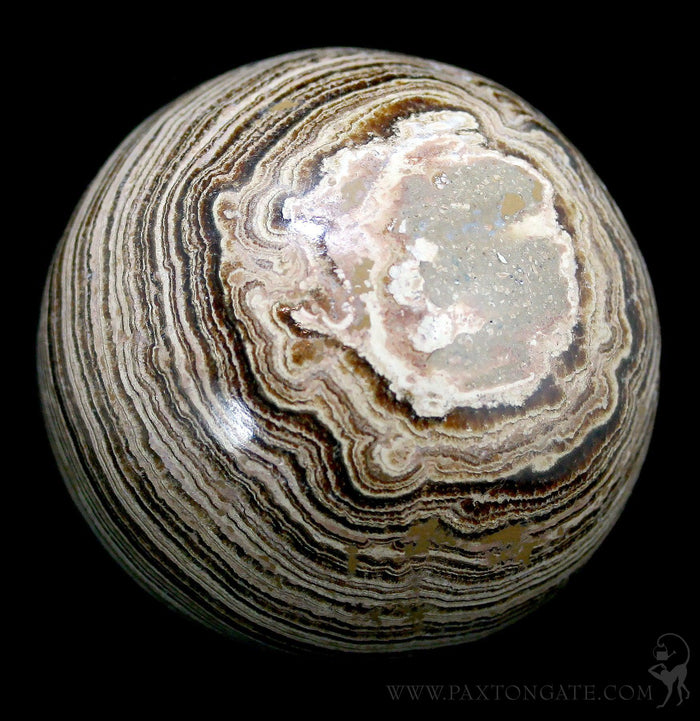 Aragonite Sphere - Paxton Gate