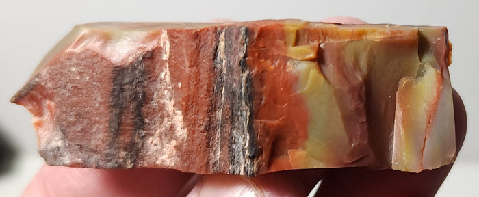 Arizona Petrified Wood-Resin Coated