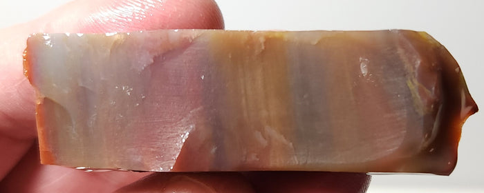 Arizona Petrified Wood-Resin Coated