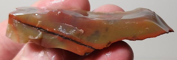 Arizona Petrified Wood-Resin Coated