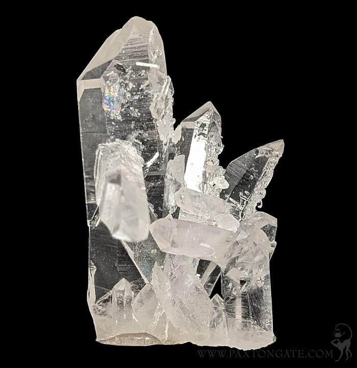 Arkansas Quartz Crystal Cluster-Minerals-Crystal City Inc.-PaxtonGate