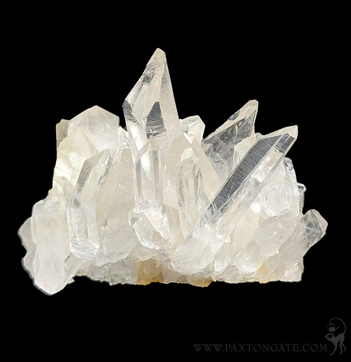 Quartz Crystal cluster-Minerals-Crystal City Inc.-PaxtonGate