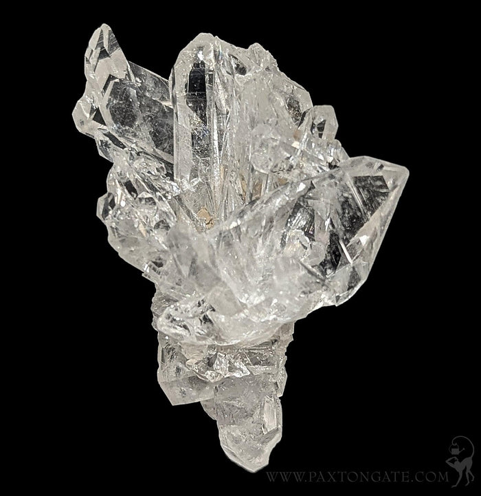 Arkansas Quartz Crystal Cluster-Minerals-Crystal City Inc.-PaxtonGate
