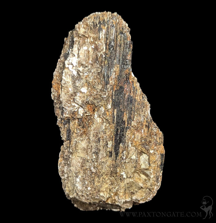 Black Tourmaline Crystal with pyrite-Minerals-Mining Moura-PaxtonGate
