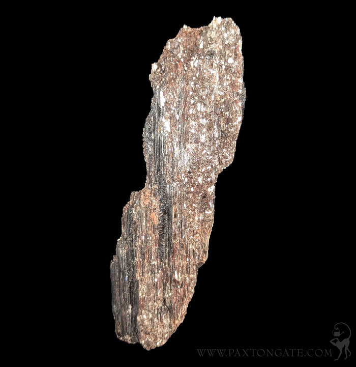 Black Tourmaline Crystal with pyrite-Minerals-Mining Moura-PaxtonGate