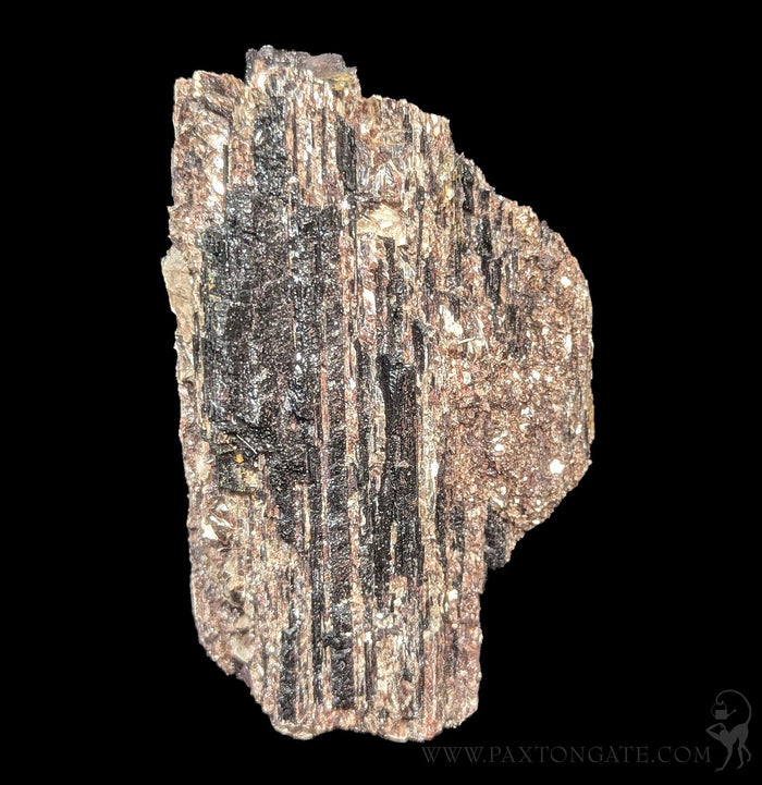 Black Tourmaline Crystal with pyrite-Minerals-Mining Moura-PaxtonGate