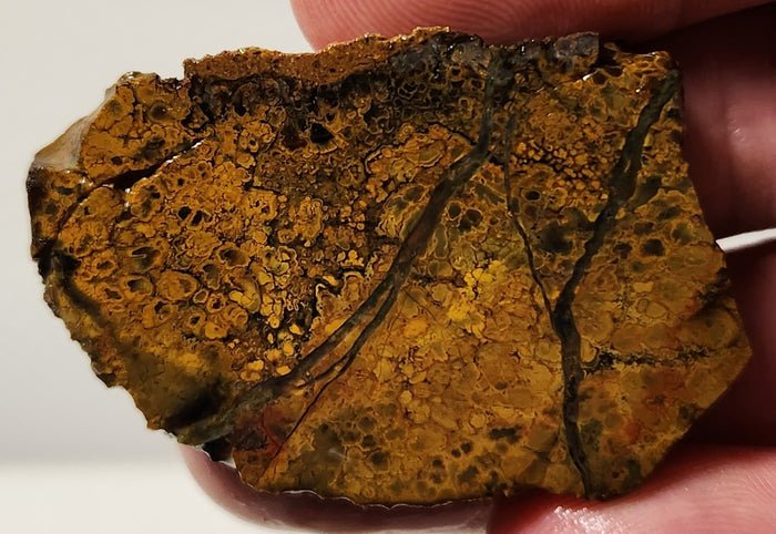 Bloody Basin Plume Agate Slab (End Piece)