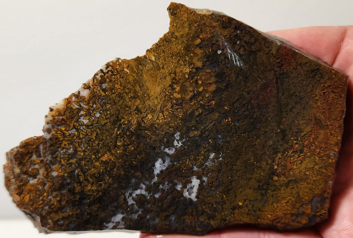 Bloody Basin Plume Agate Slab (End Piece)