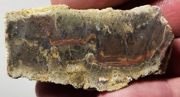 Bloody Basin Plume Agate Slab (End Piece)