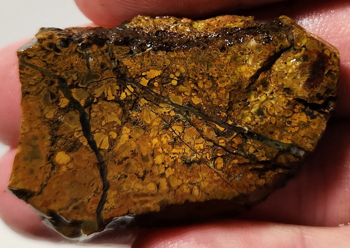 Bloody Basin Plume Agate Slab (End Piece)