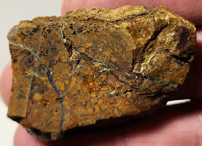 Bloody Basin Plume Agate Slab (End Piece)