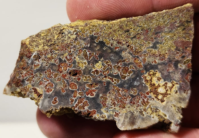 Bloody Basin Plume Agate Slab