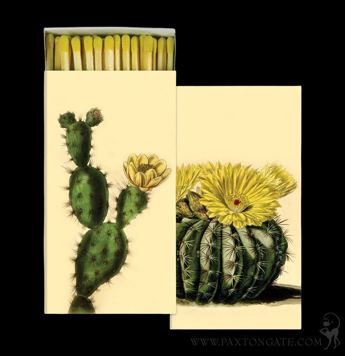 Cacti Matches-Candles, Incense, & Matches-Hom Art-PaxtonGate