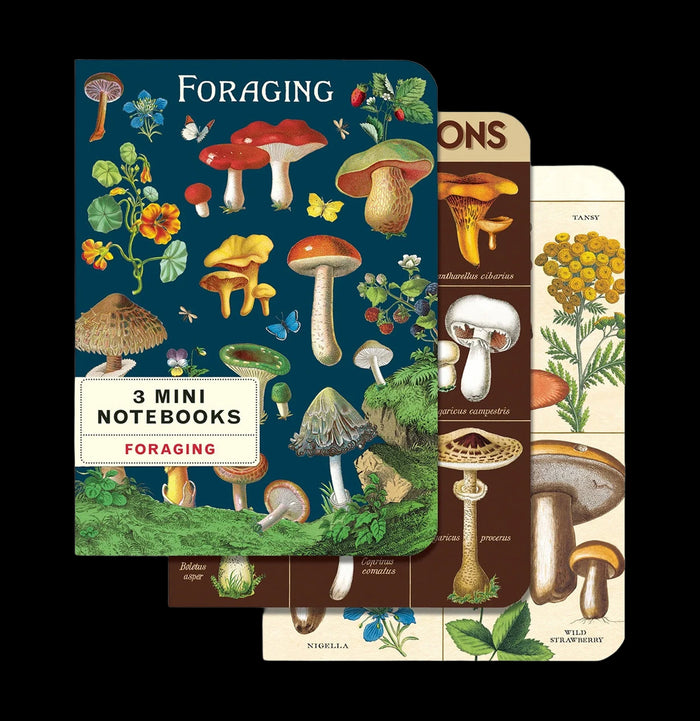 Foraging Mini Notebooks-Office-Cavallini & Co.-PaxtonGate