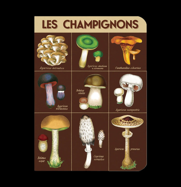 Foraging Mini Notebooks-Office-Cavallini & Co.-PaxtonGate
