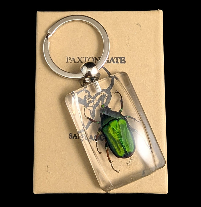 Green Rose Chafer Beetle Keychain-Insects-Real Insect Company-PaxtonGate