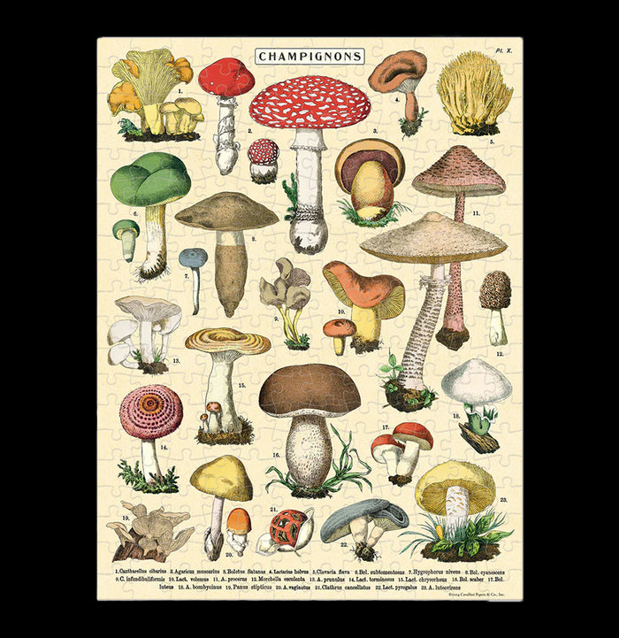 Mushrooms Mini Jigsaw Puzzle-Kids-Cavallini & Co.-PaxtonGate