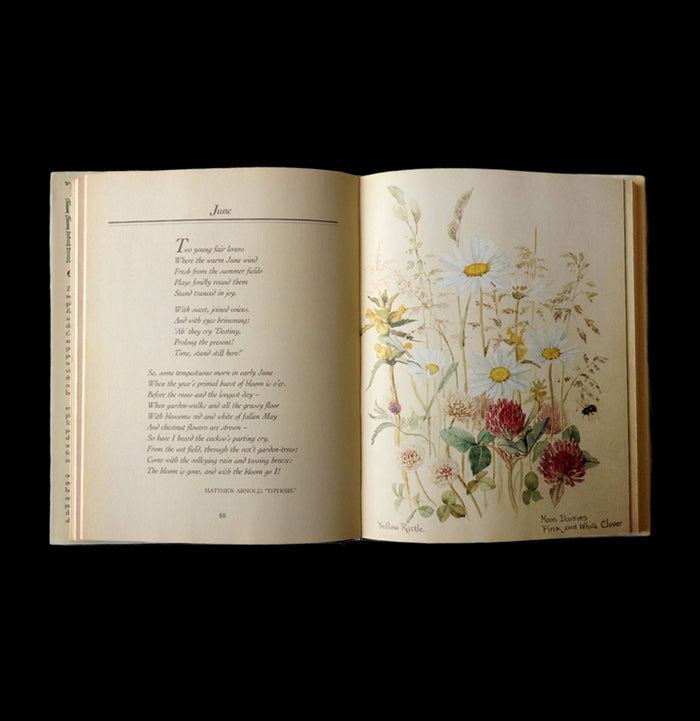 Nature Notes of an Edwardian Lady-Books-Penguin Random House-PaxtonGate