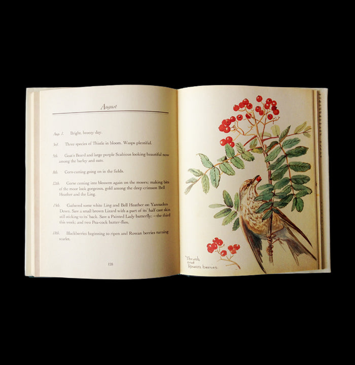Nature Notes of an Edwardian Lady-Books-Penguin Random House-PaxtonGate