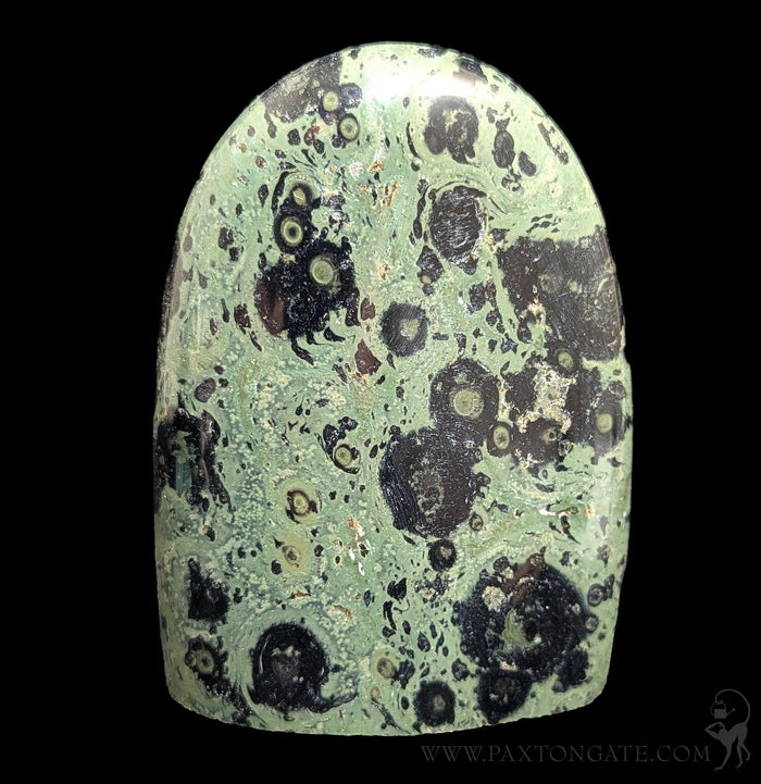 Polished Kambaba Jasper-Minerals-Madagascar Treasures-PaxtonGate