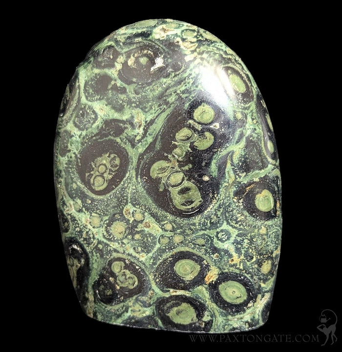 Polished Kambaba Jasper-Minerals-Madagascar Treasures-PaxtonGate