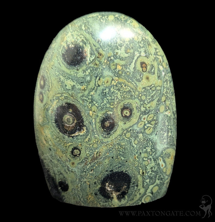 Polished Kambaba Jasper-Minerals-Madagascar Treasures-PaxtonGate