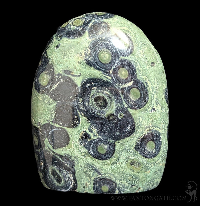 Polished Kambaba Jasper-Minerals-Madagascar Treasures-PaxtonGate
