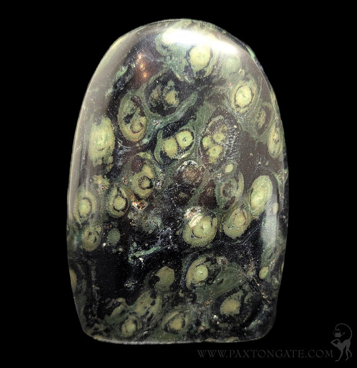 Polished Kambaba Jasper-Minerals-Madagascar Treasures-PaxtonGate