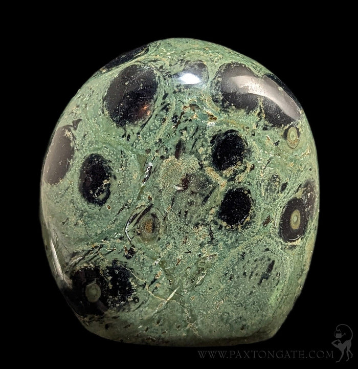 Polished Kambaba Jasper-Minerals-Madagascar Treasures-PaxtonGate
