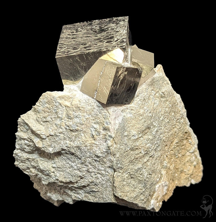 Pyrite Cube on Matrix Specimen B-Minerals-Piritas de Navajun-PaxtonGate