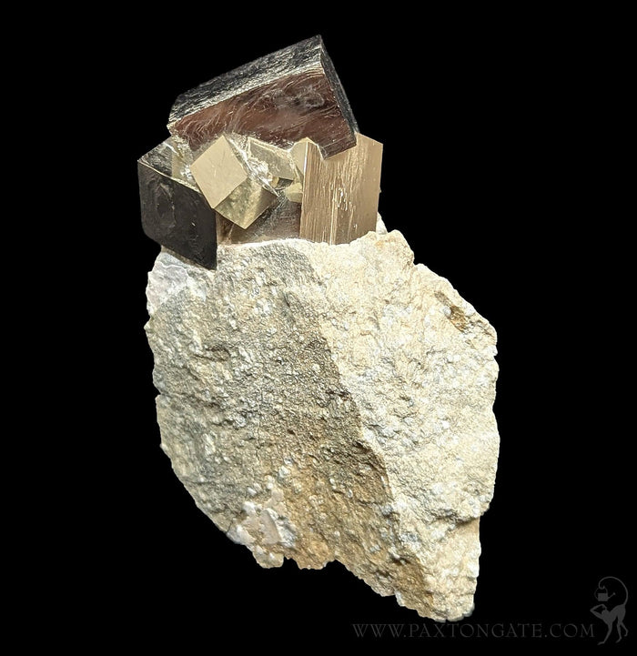 Pyrite Cube on Matrix Specimen B-Minerals-Piritas de Navajun-PaxtonGate