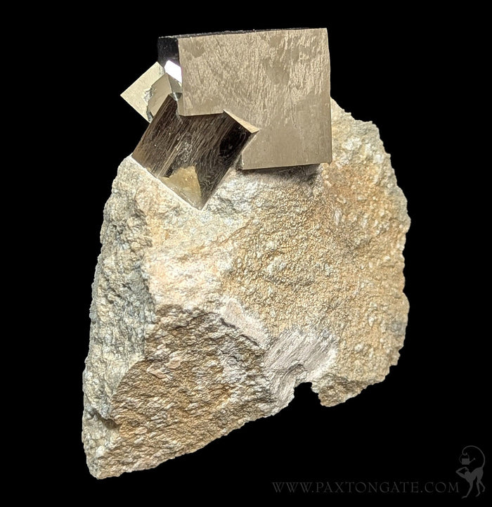 Pyrite Cube on Matrix Specimen B-Minerals-Piritas de Navajun-PaxtonGate