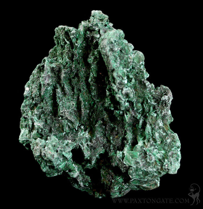 Rough Cut Malachite Specimen - Paxton Gate