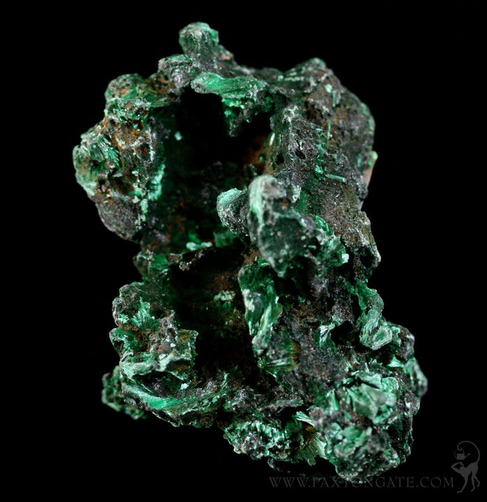 Rough Cut Malachite Specimen - Paxton Gate