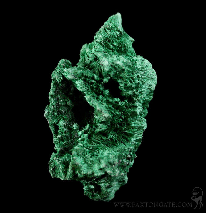 Rough Cut Malachite Specimen - Paxton Gate