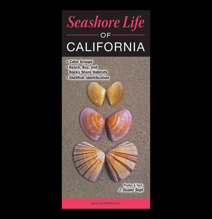 Seashore Life of California-Books-Quick Reference Publishing-PaxtonGate