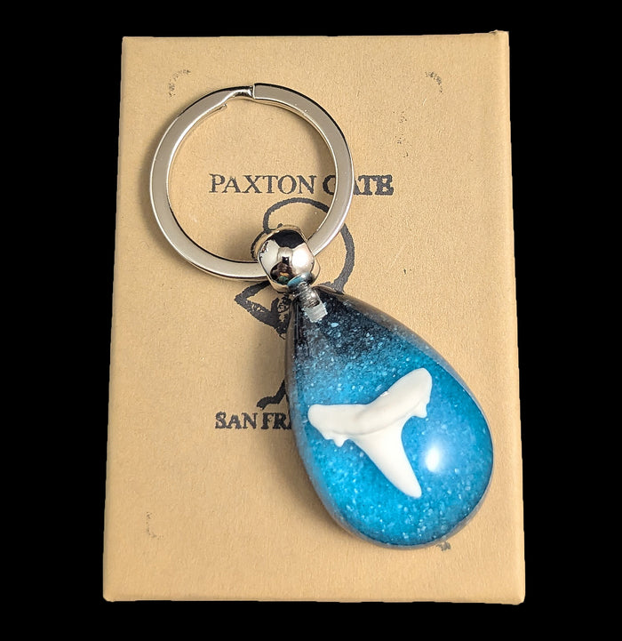 Shark Tooth Keychain-Sea Life-Real Insect Company-PaxtonGate