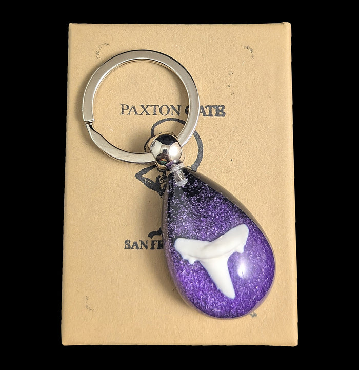 Shark Tooth Keychain-Sea Life-Real Insect Company-PaxtonGate