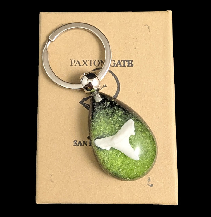 Shark Tooth Keychain-Sea Life-Real Insect Company-PaxtonGate