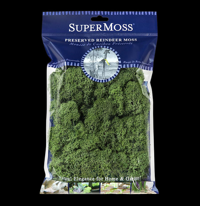 SuperMoss Reindeer Moss-Garden Supplies-BFG-PaxtonGate