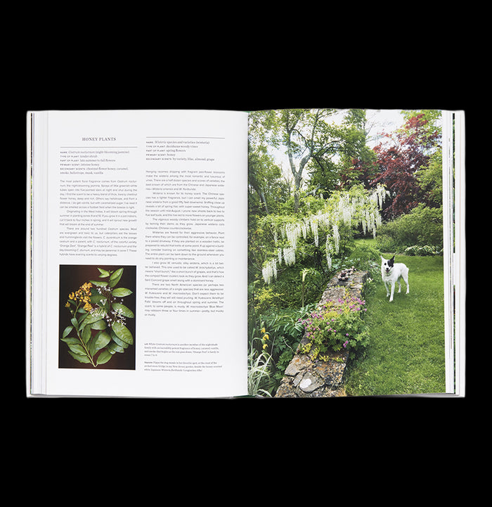 The Scentual Garden: Exploring the World of Botanical Fragrance-Books-Abrams-PaxtonGate