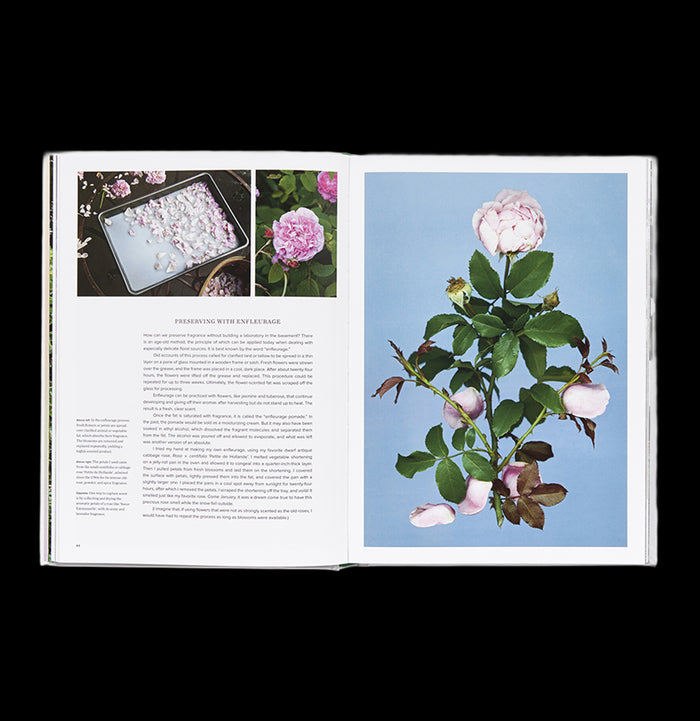 The Scentual Garden: Exploring the World of Botanical Fragrance-Books-Abrams-PaxtonGate