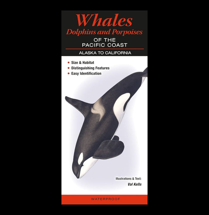Whales, Dolphins, and Porpoises of the Pacific Coast-Books-Quick Reference Publishing-PaxtonGate